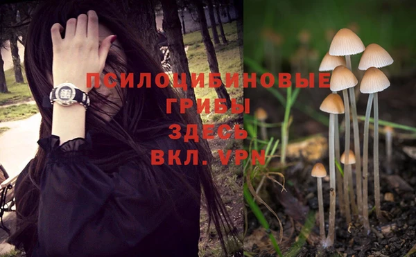синтетический гашиш Балахна