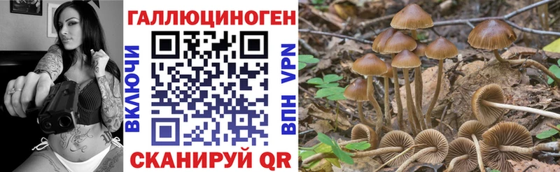 Псилоцибиновые грибы ЛСД  наркота  Балтийск 