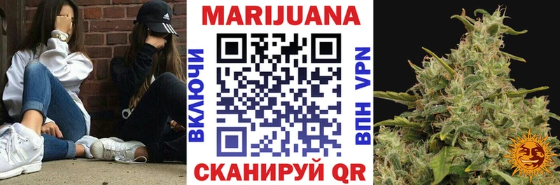 Каннабис MAZAR Балтийск